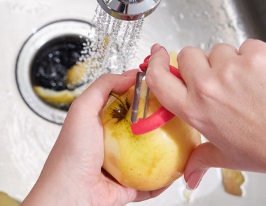 Food Waste Disposers